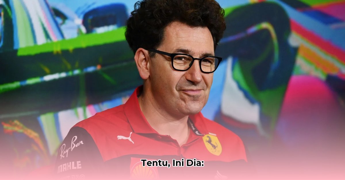 mattia-binotto-net-worth